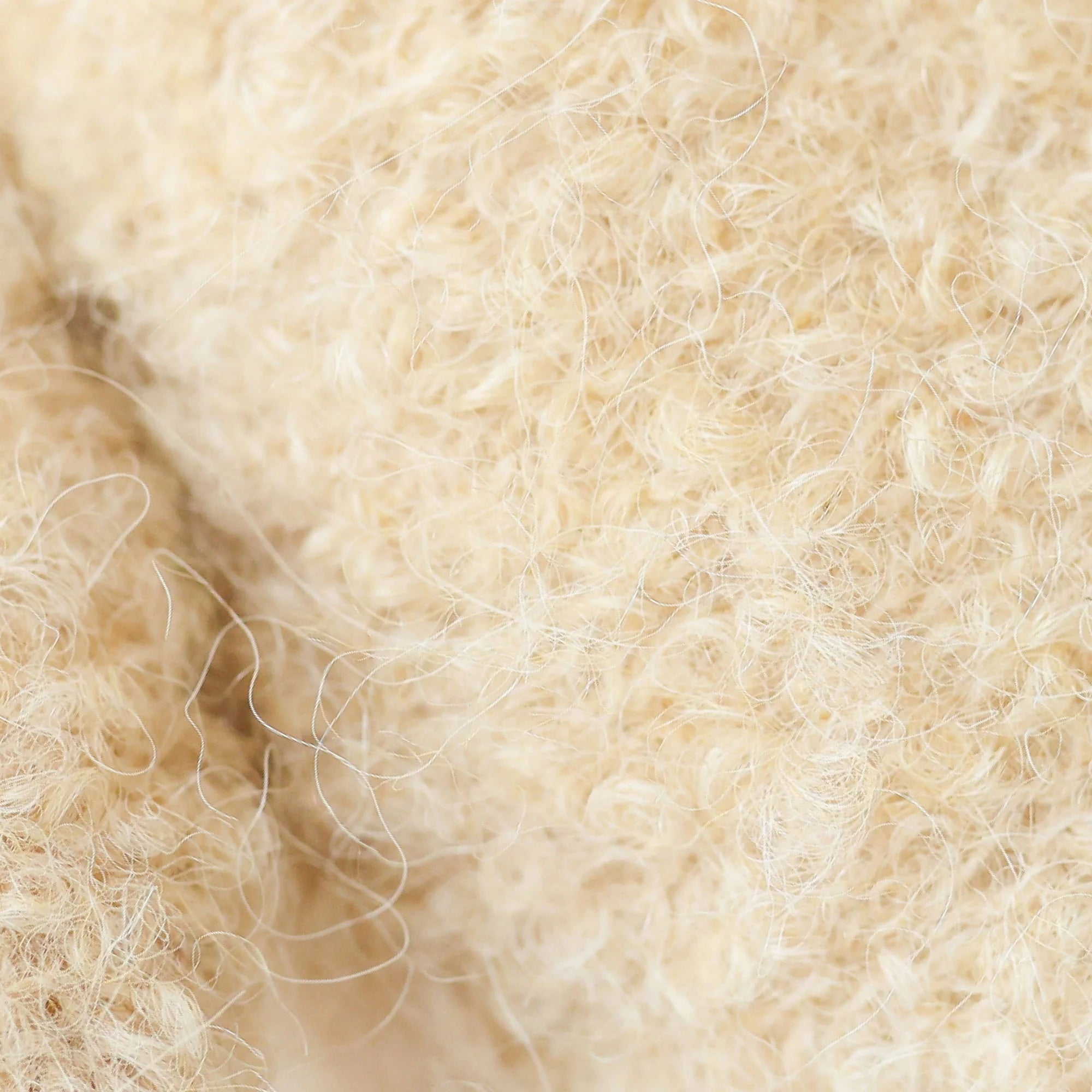 Baby Boucle Bear: Honey