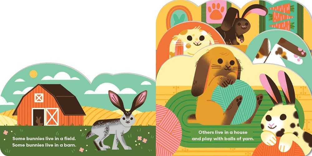 Some Bunnies Board Book