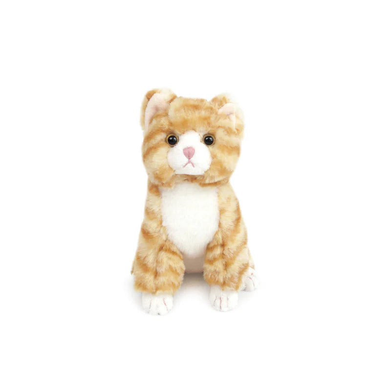 Small ChiChi Kitty