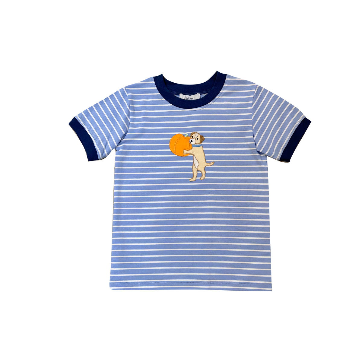 Pumpkin Applique Boys T-Shite