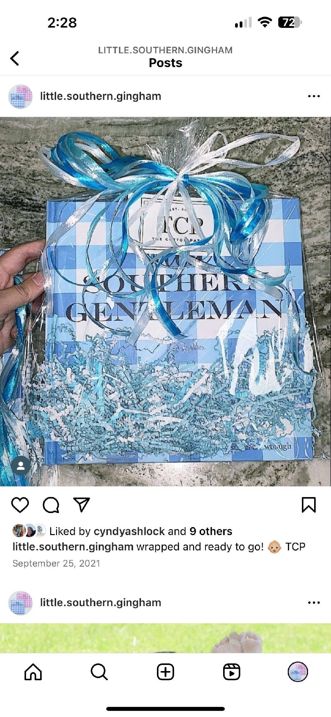 Little Southern Gingham: Little Southern Gentleman Book