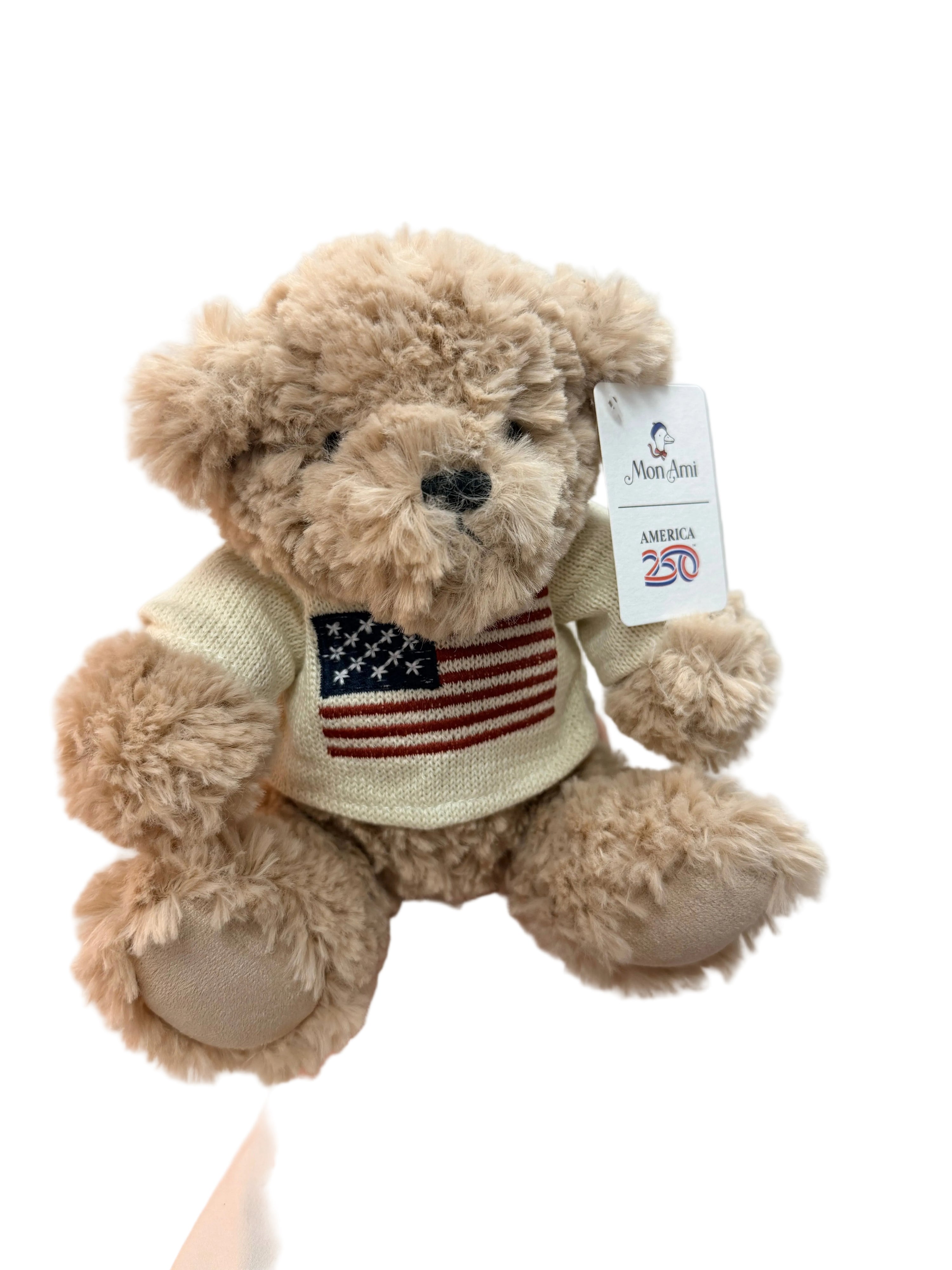 USA Teddy Bear: Small
