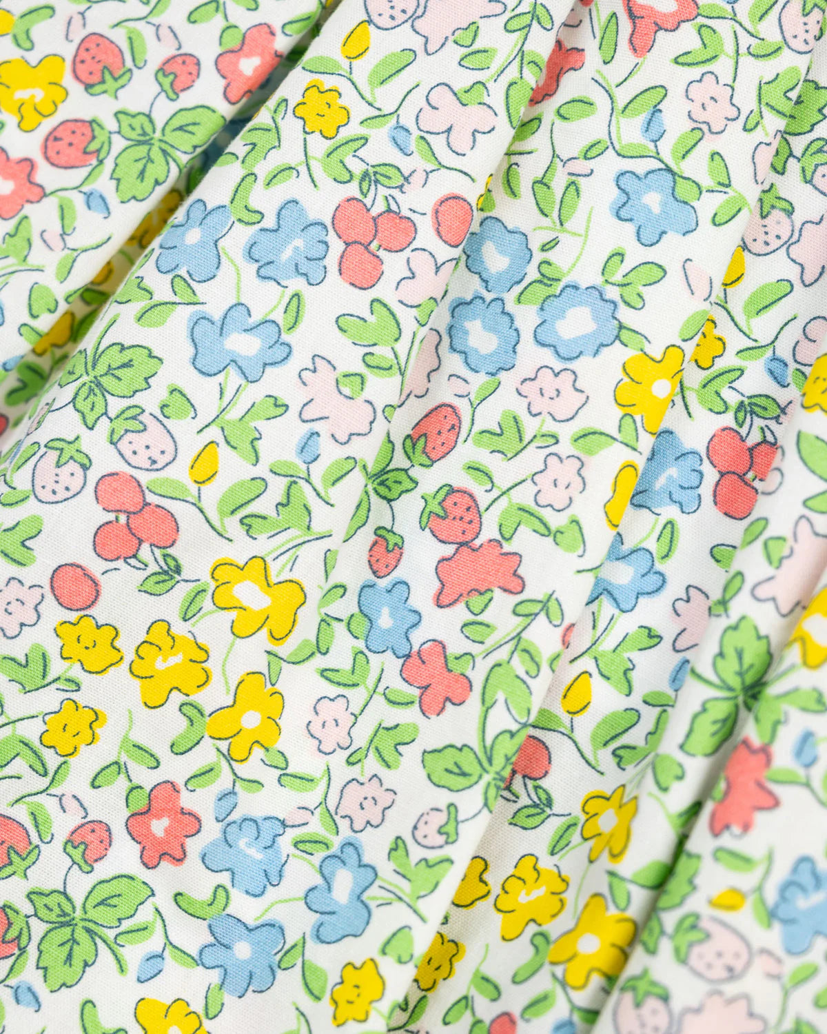 Ditsy Floral & Berry Penny Dress