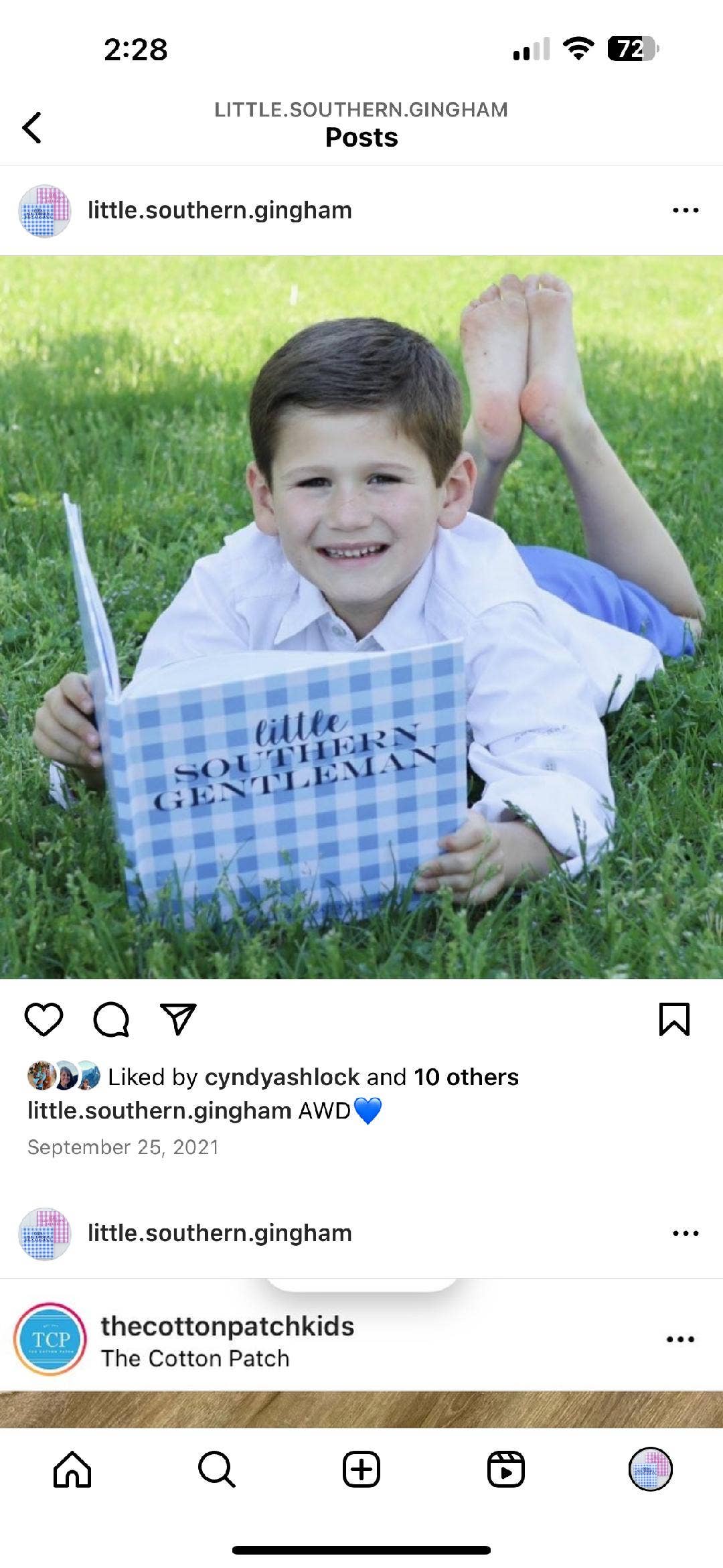 Little Southern Gingham: Little Southern Gentleman Book