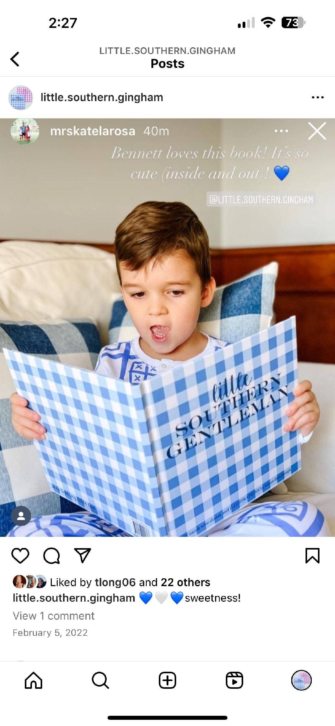 Little Southern Gingham: Little Southern Gentleman Book