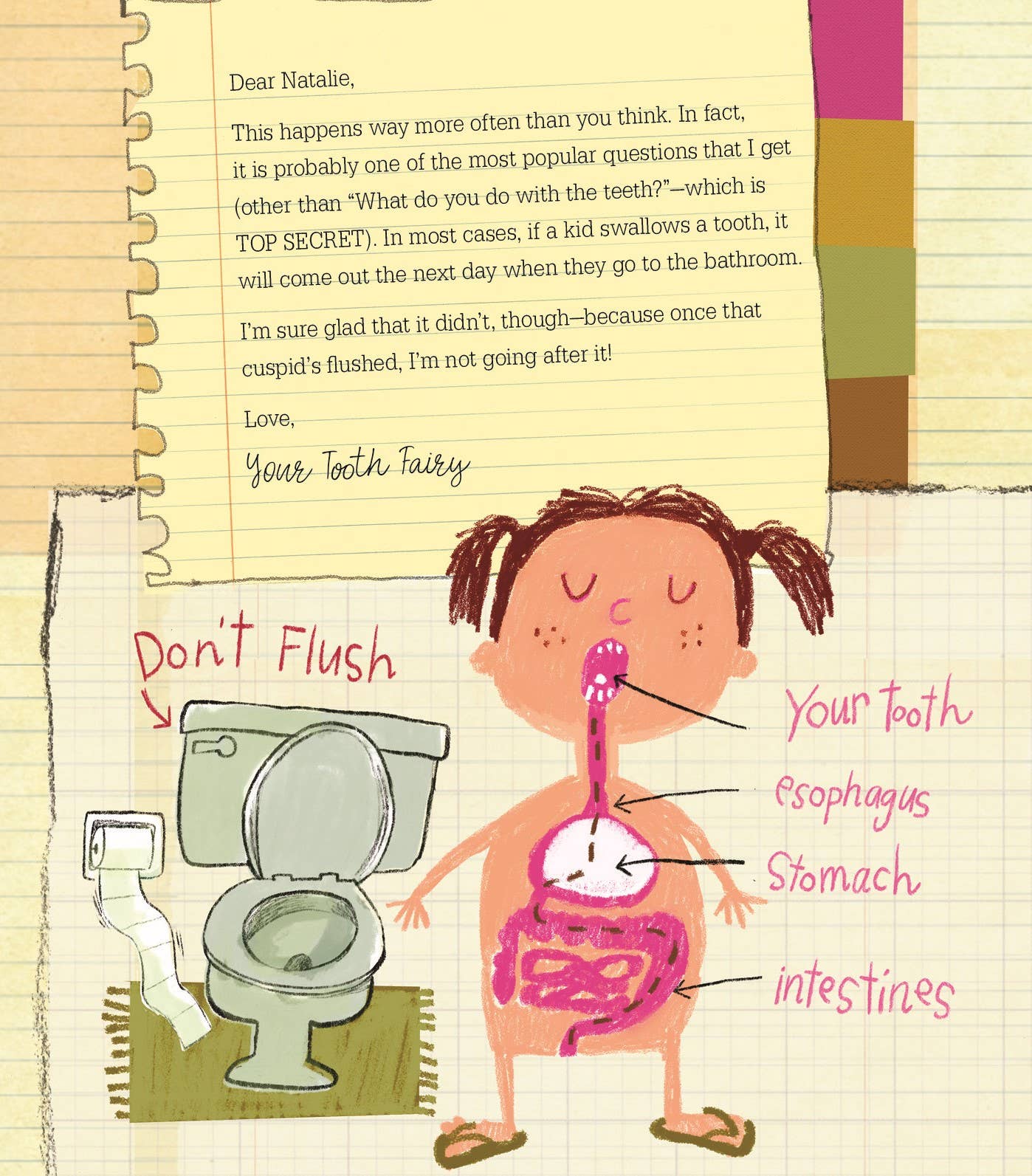Letters from My Tooth Fairy Picture Book