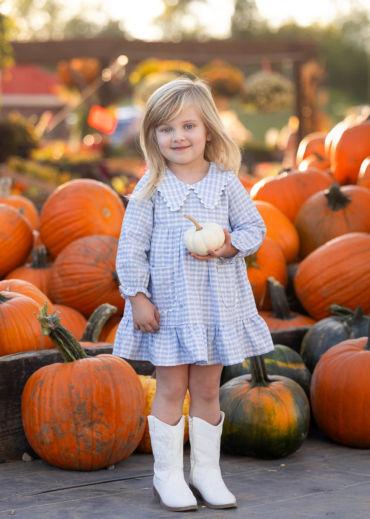 Ella Rae Dress: Light Blue Gingham