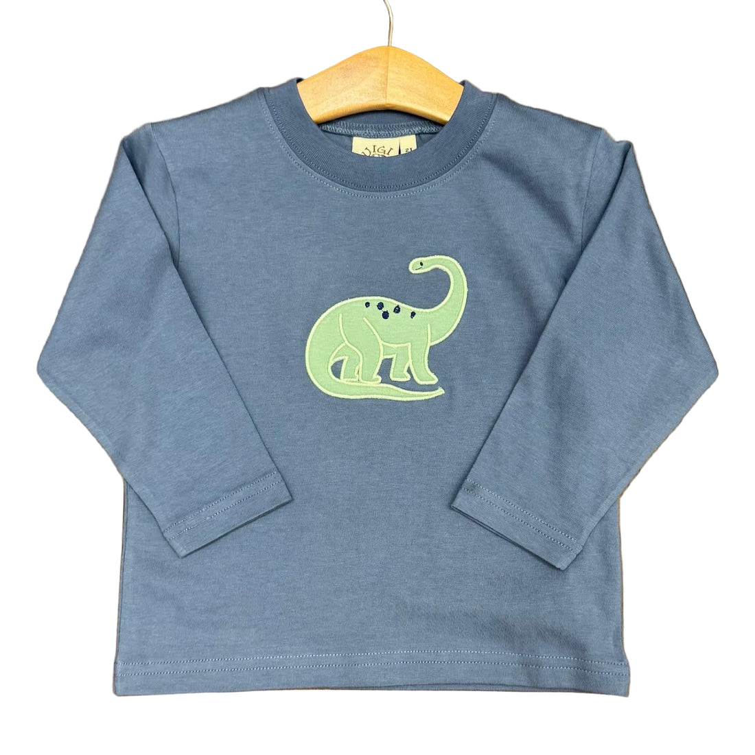 Steel Blue Boys LS T-Shirt with Brontosaur Applique