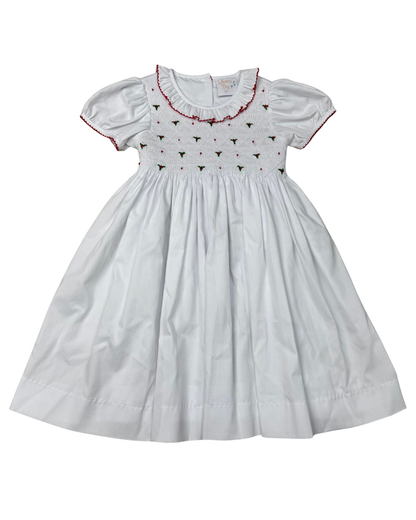 Holiday Holly Smocked Ruffle Dress