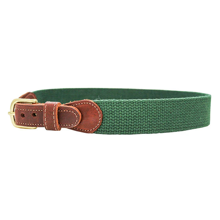 Buddy Belt: Green Canvas