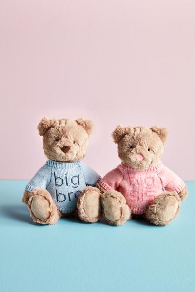 Big Sis Plush Bear