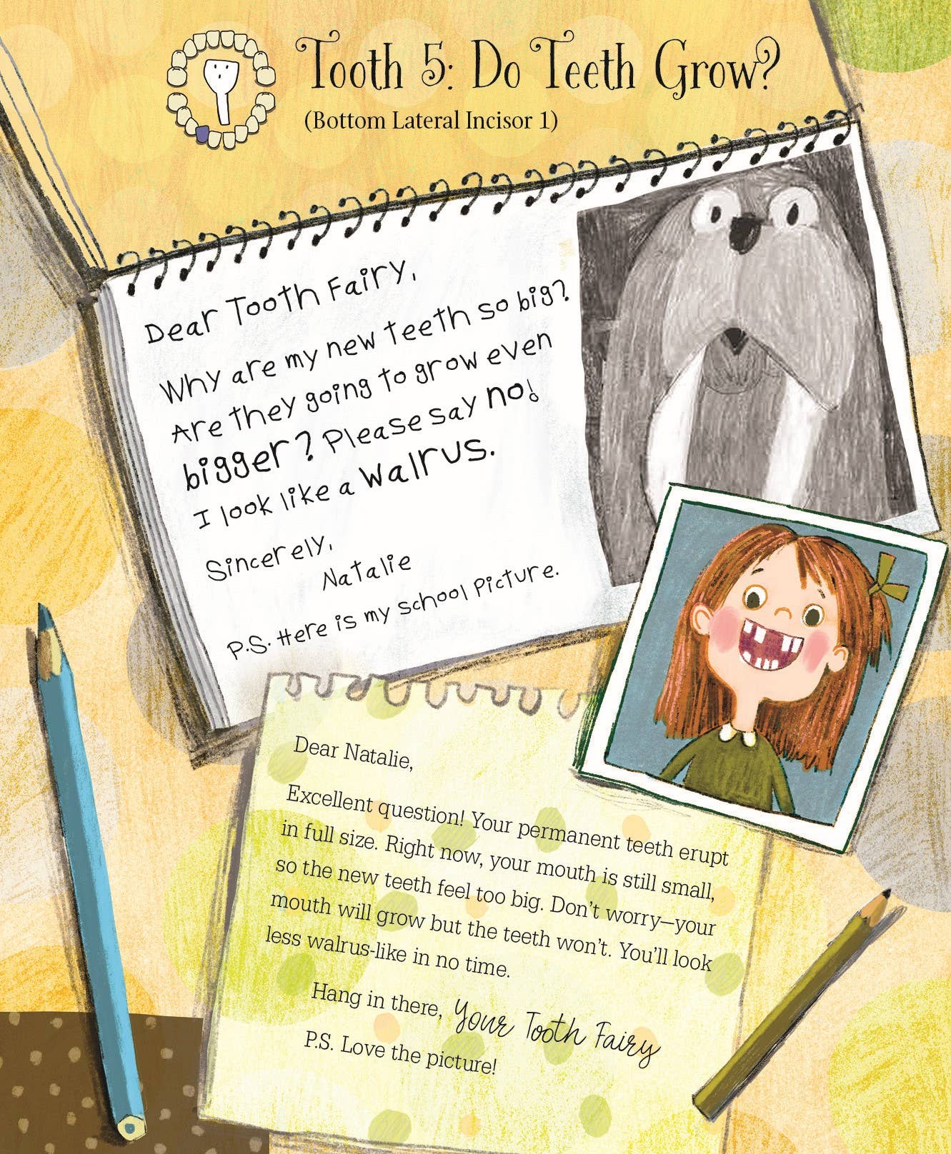 Letters from My Tooth Fairy Picture Book