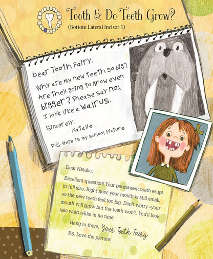 Letters from My Tooth Fairy Picture Book
