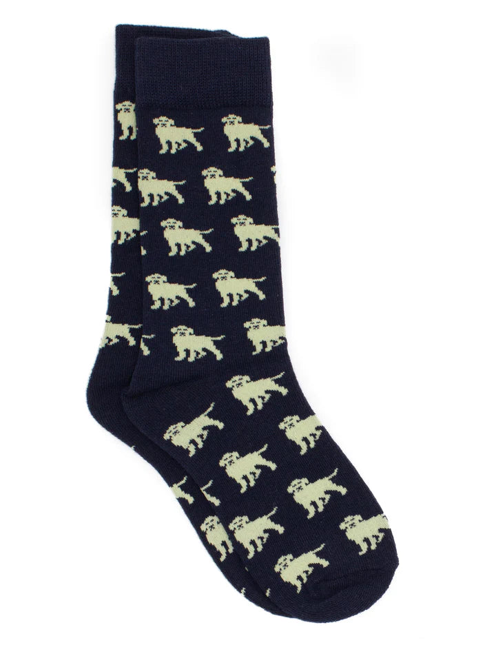 Properly Tied Boys Lucky Duck Socks: Golden Retriever