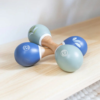 Assorted Maracas