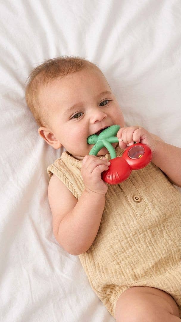Bitzy Shake™ Silicone Teether with Rattle: Goose