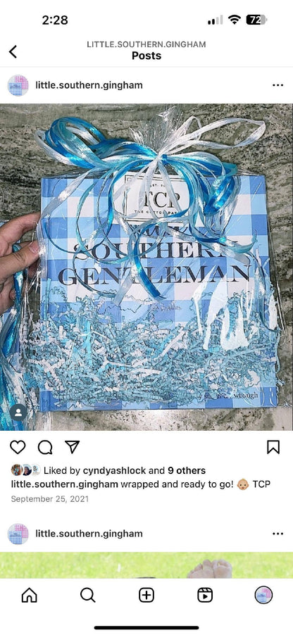 Little Southern Gingham: Little Southern Gentleman Book