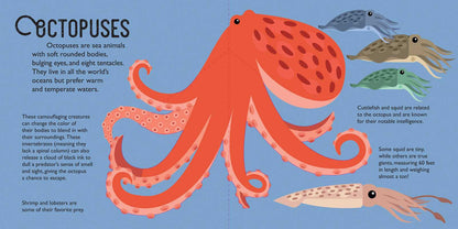 Panoramic Pop-Ups: Ocean