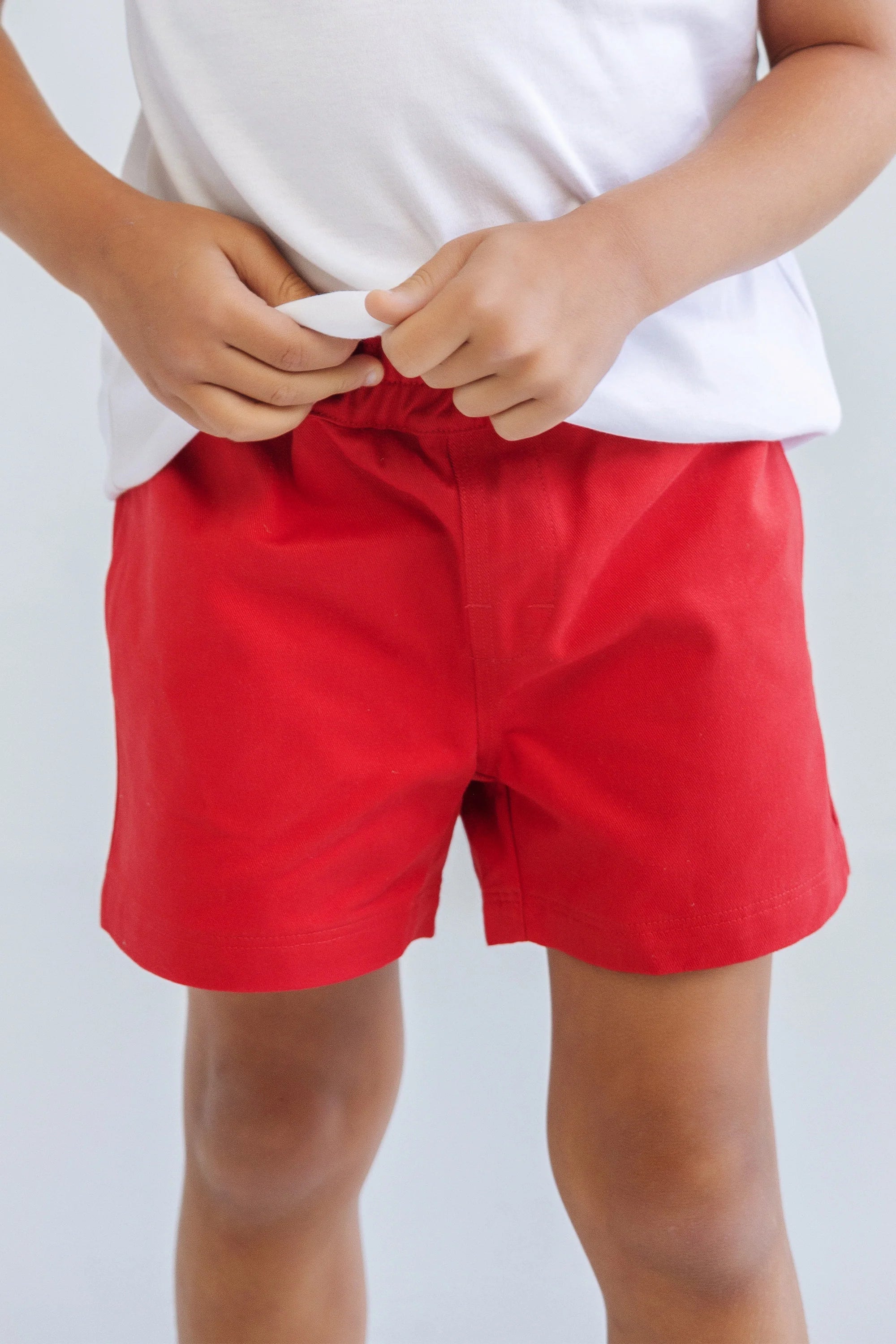 TBBC Twill Sheffield Shorts: Richmond Red with Multicolor Stork
