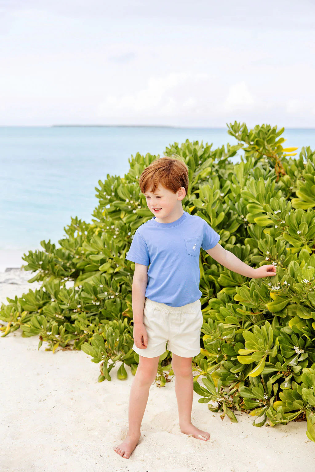 TBBC Twill Sheffield Shorts: Saratoga Stone