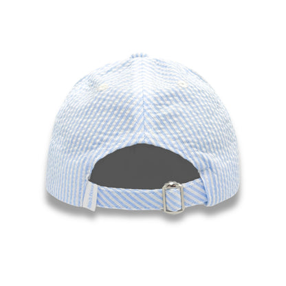 Bunny Baseball Hat: Blue Seersucker