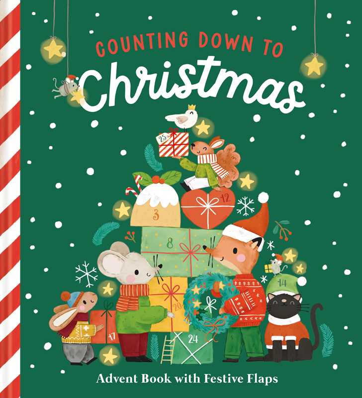 Counting Down To Christmas Board Book