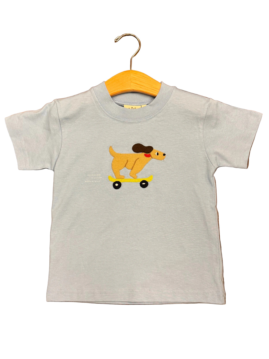 Sky Blue Boys SS T-Shirt with Skateboarding Dog