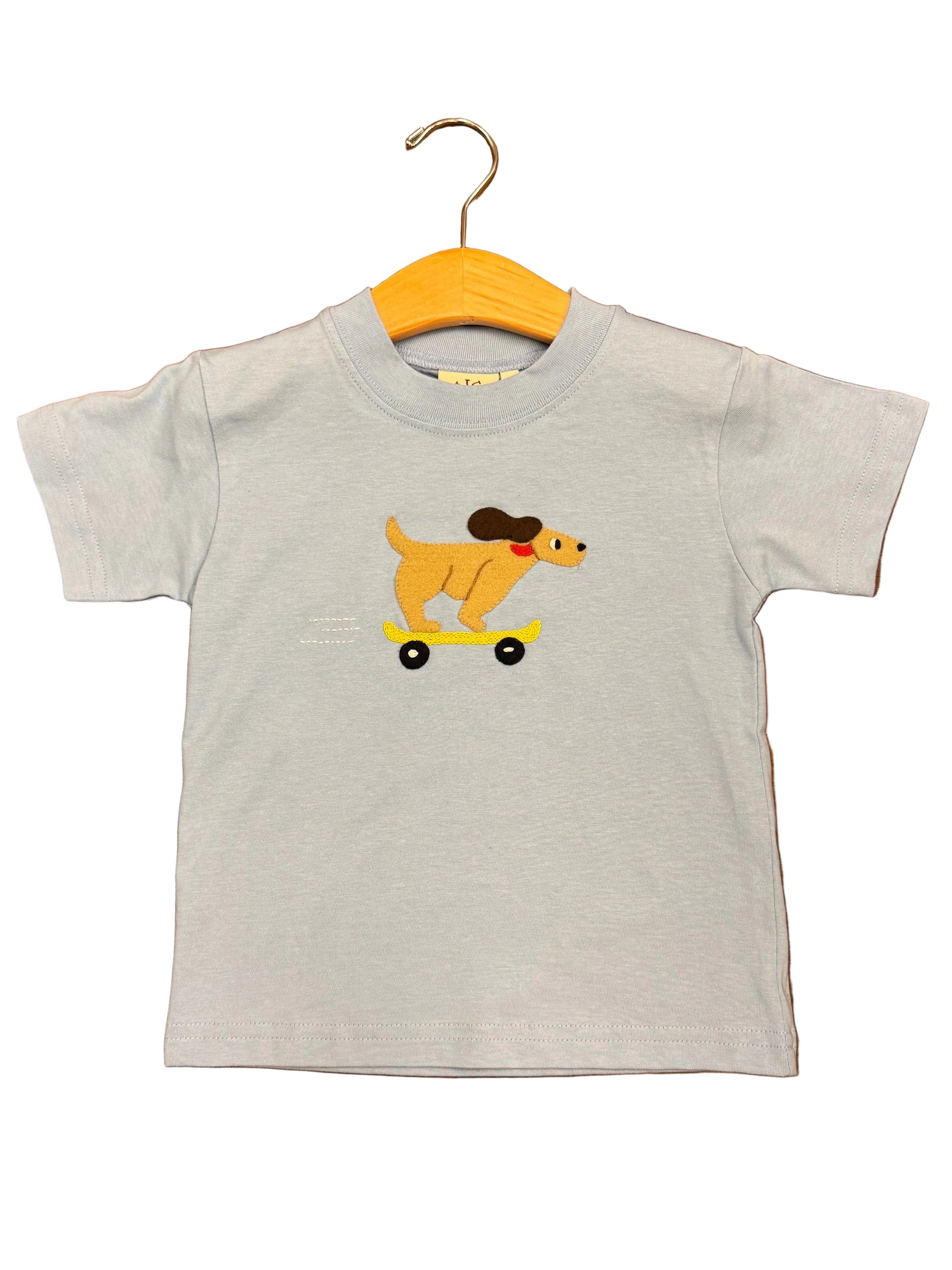 Sky Blue Boys SS T-Shirt with Skateboarding Dog