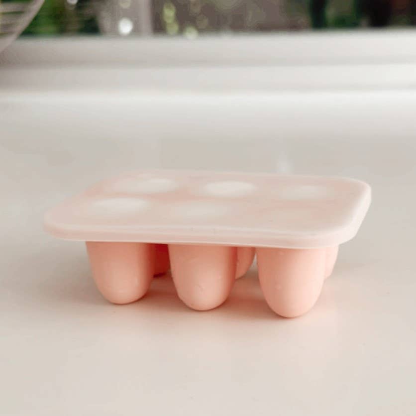 Food &amp; Fruit Pacifier Feeder &amp; Freezer Tray (Pink-Pink) 3pc