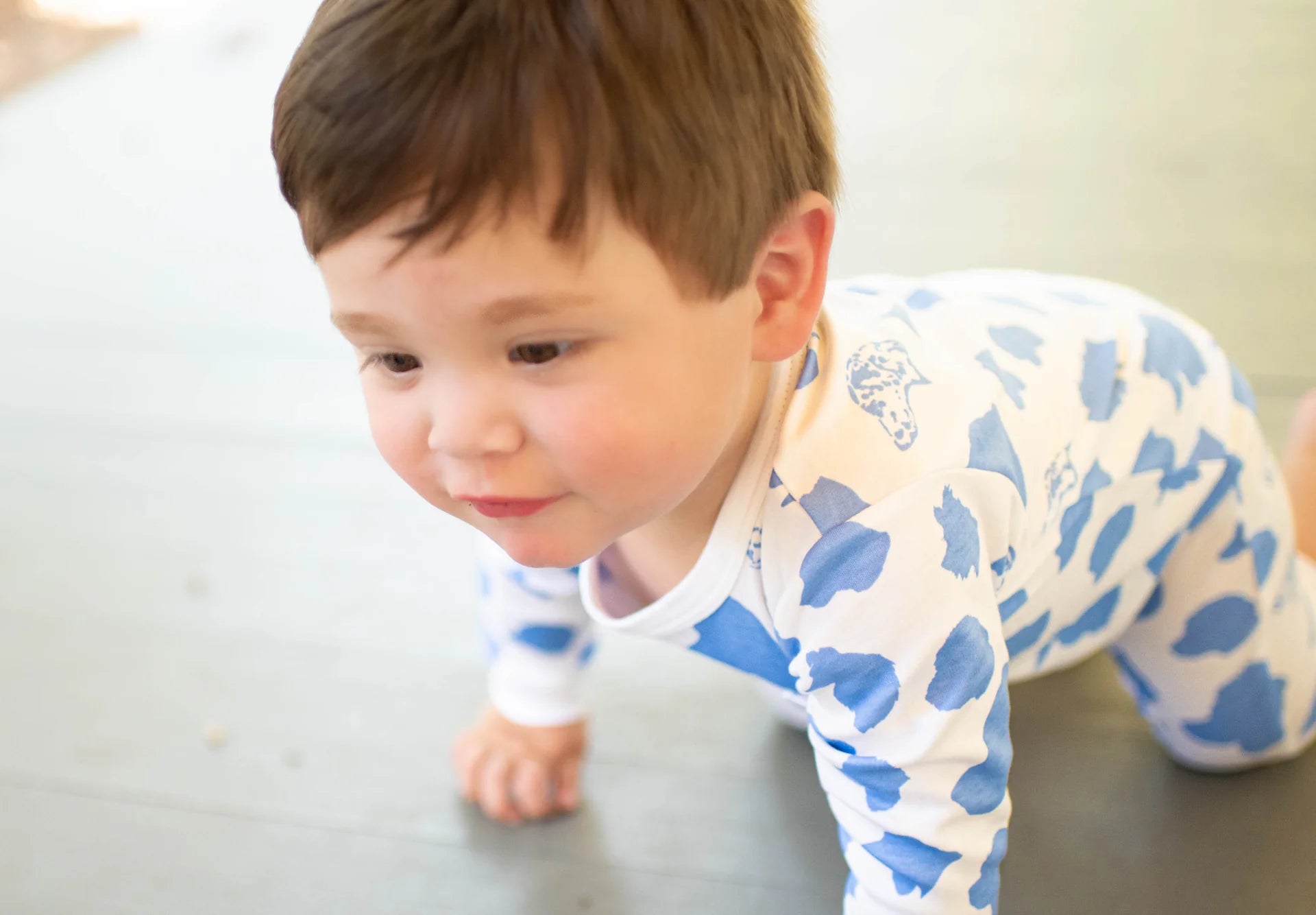 Dark Blue Dogs Printed Romper