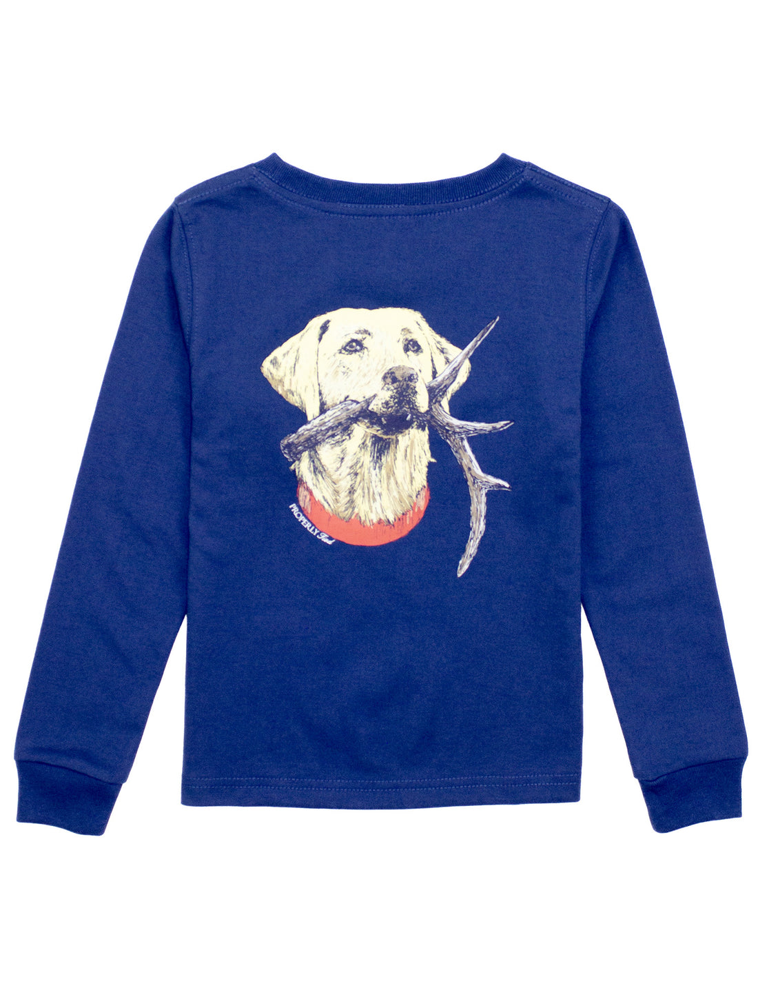 Boys Antler Lab LS Graphit T-Shirt: River Blue