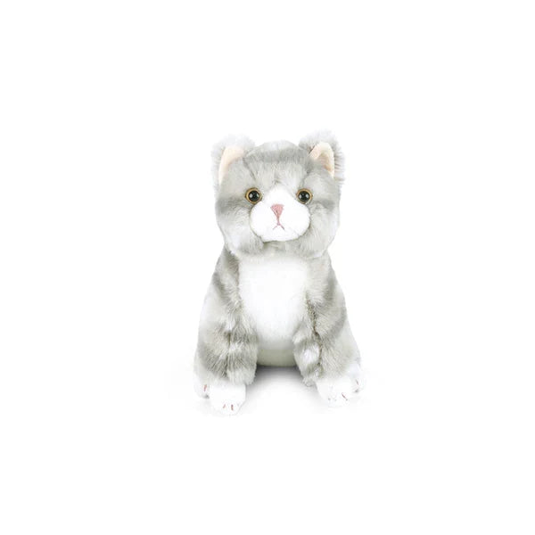 Small Cassie Kitty