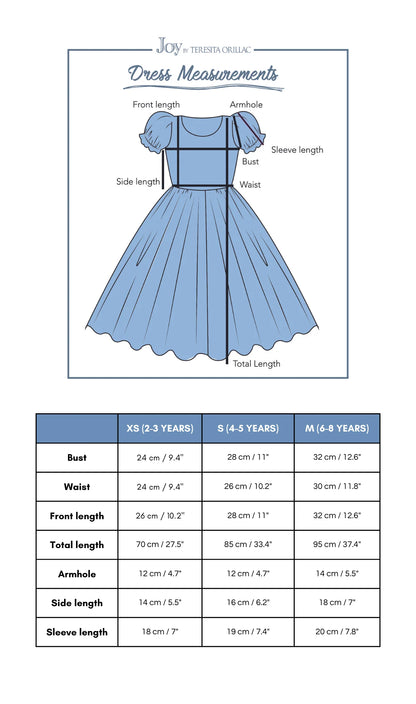 The Princess Cinderella Blue Costume Dress