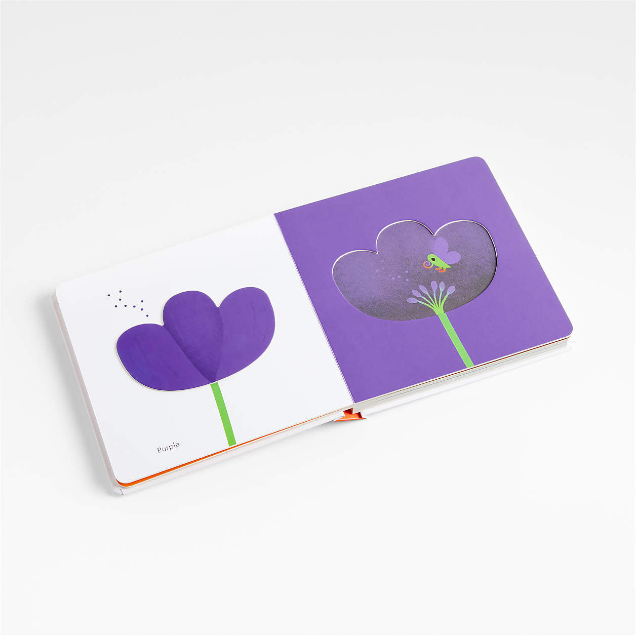 TouchThinkLearn: Colors Board Book