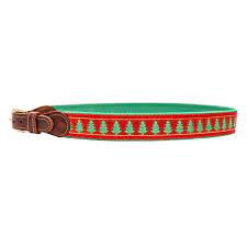 Bailey Boys Buddy Belt