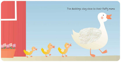 Farm Animals: My First Touch &amp; Feel Book
