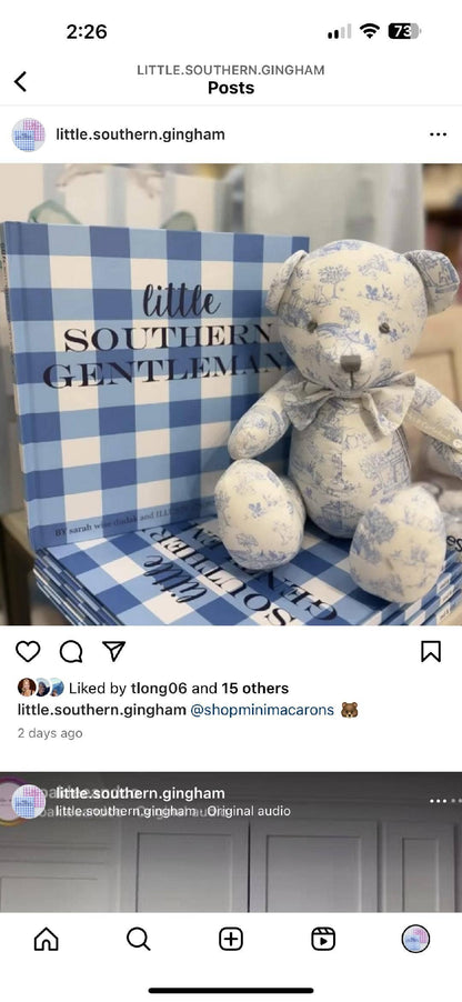 Little Southern Gingham: Little Southern Gentleman Book