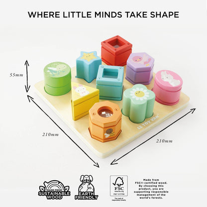 Rainbow Sensory Shape Sorter