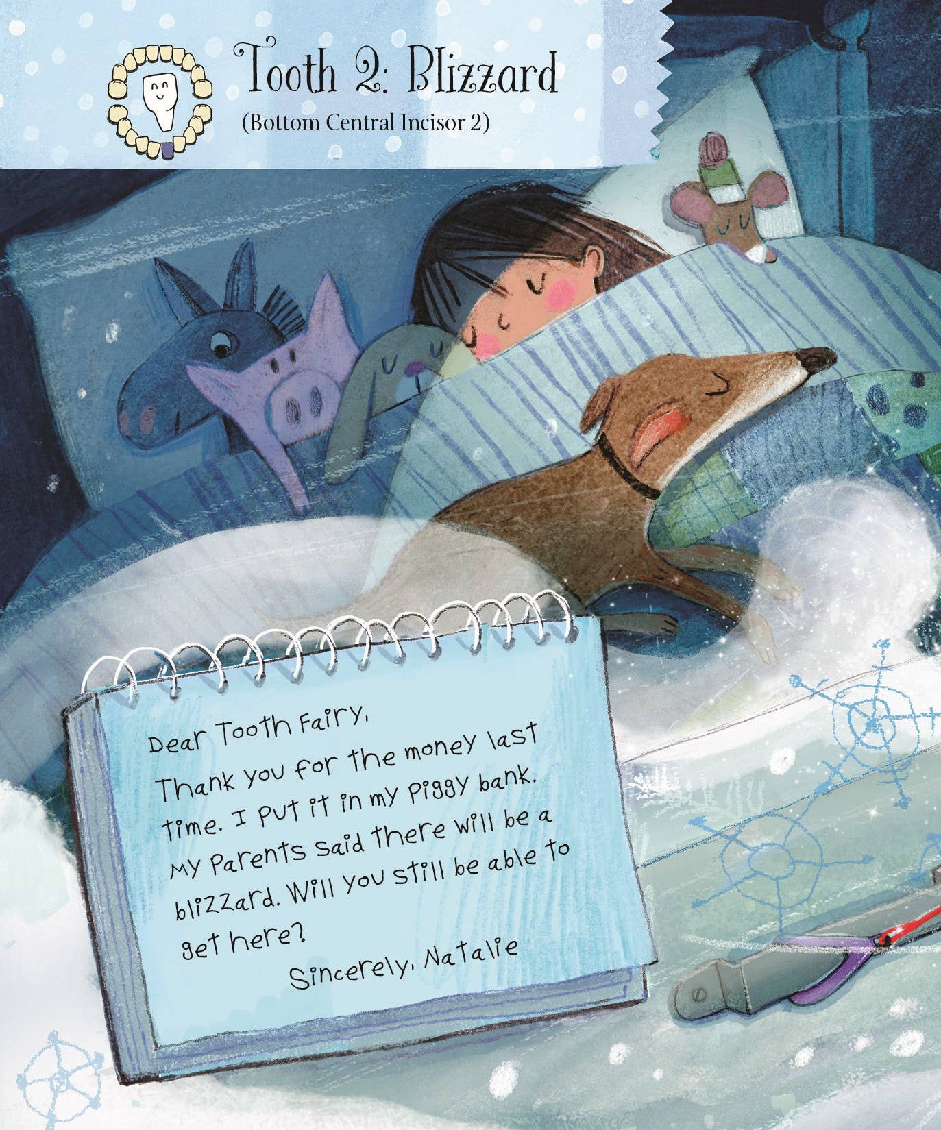 Letters from My Tooth Fairy Picture Book