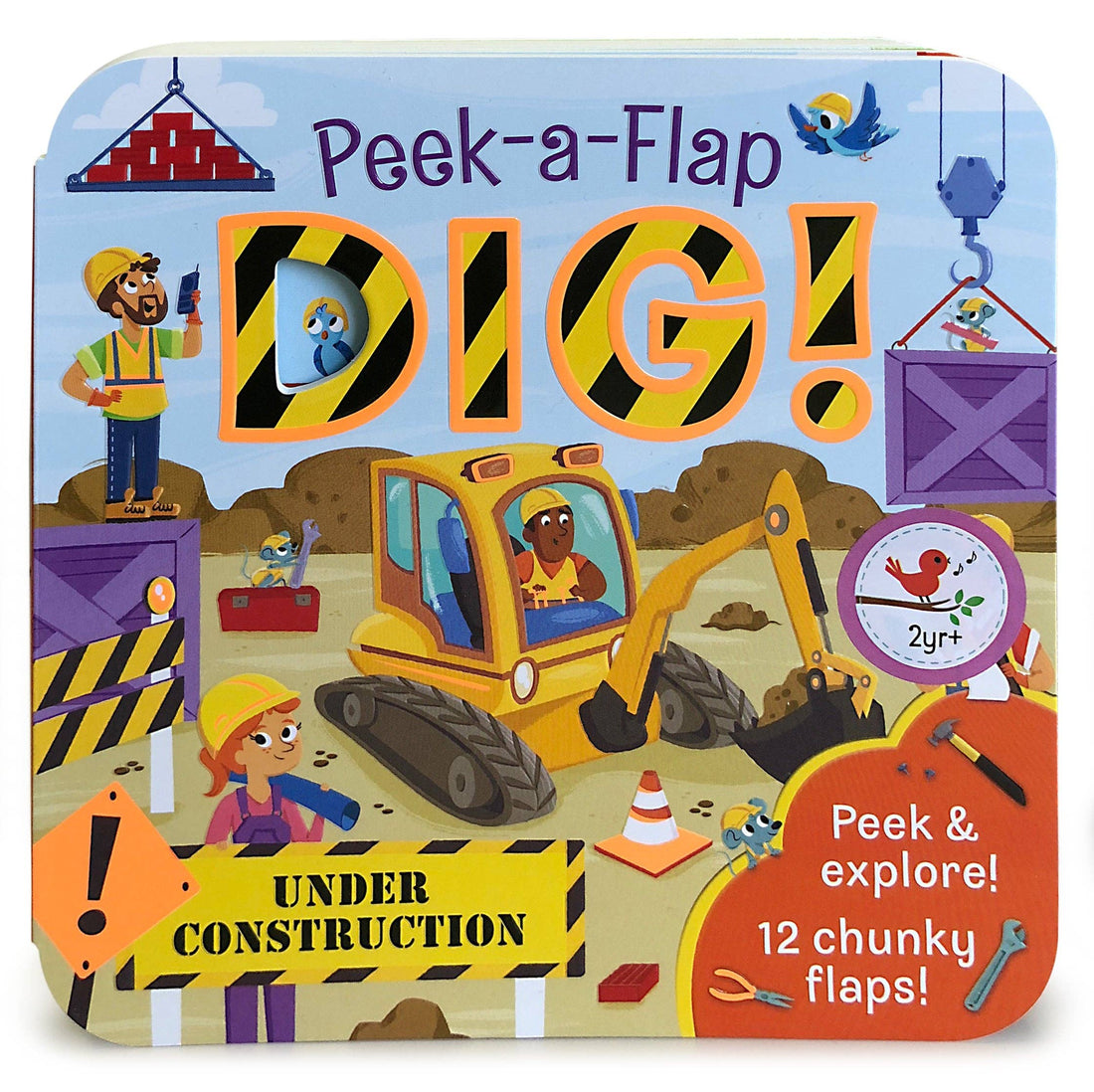 Peek-a-Flap Book: Dig!