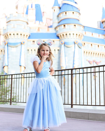 The Princess Cinderella Blue Costume Dress