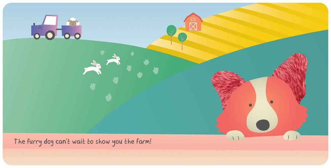 Farm Animals: My First Touch &amp; Feel Book