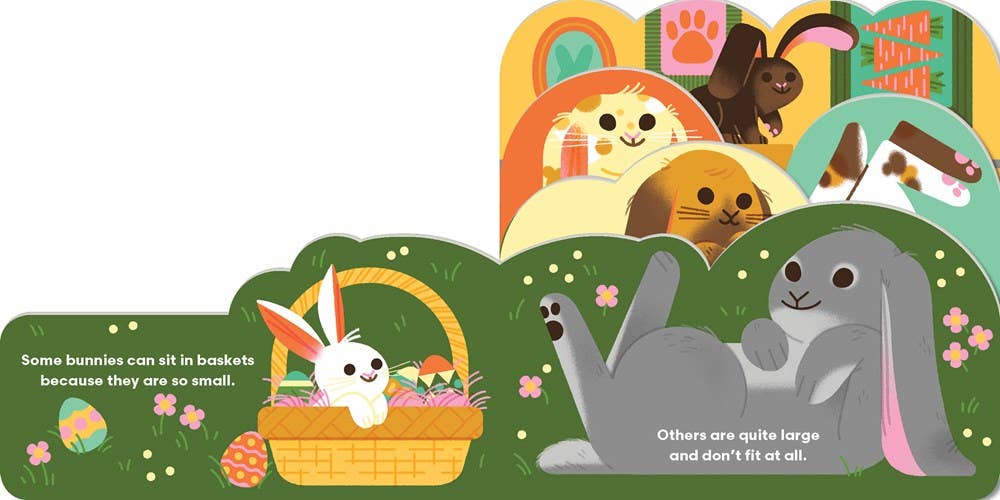 Some Bunnies Board Book