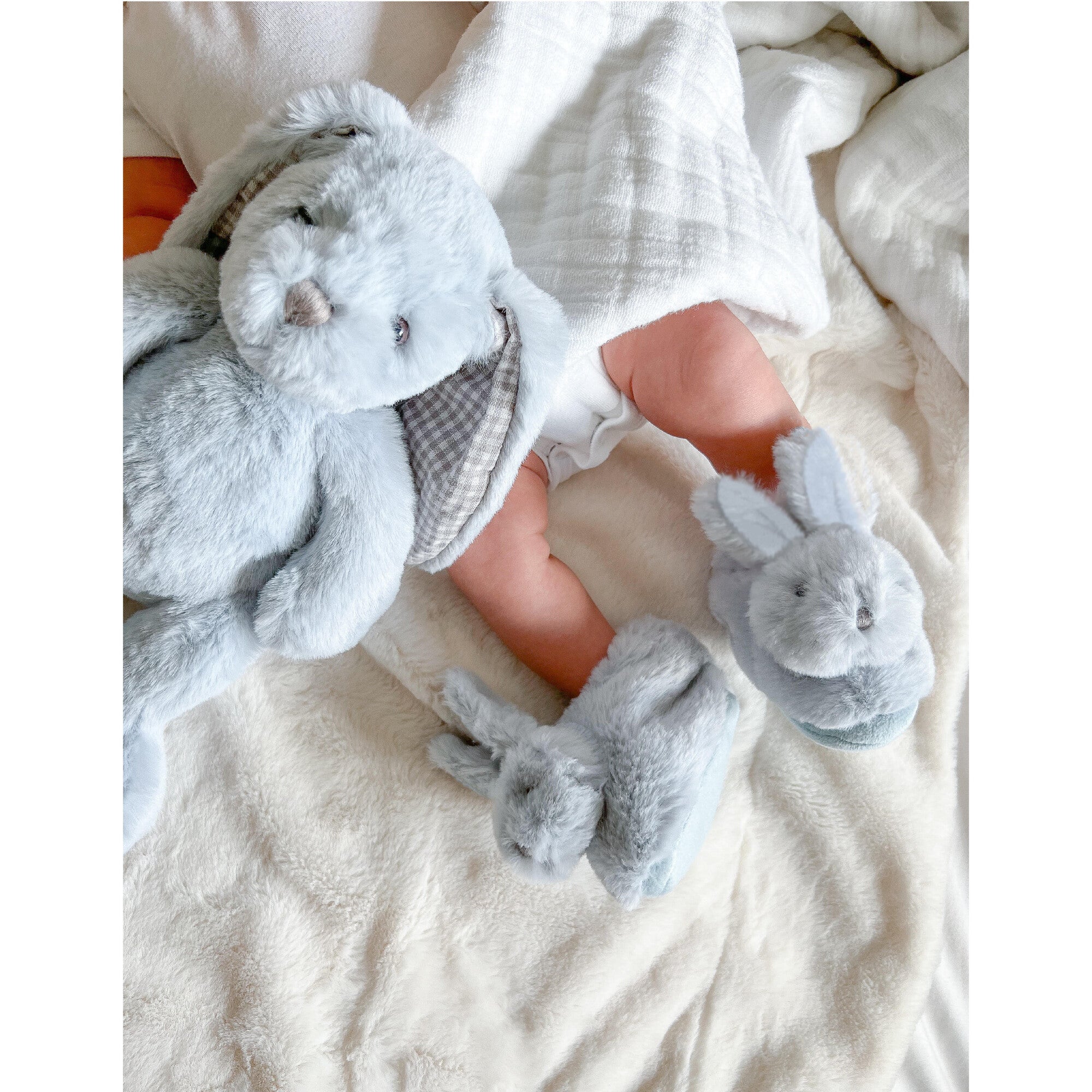 Asher Bunny