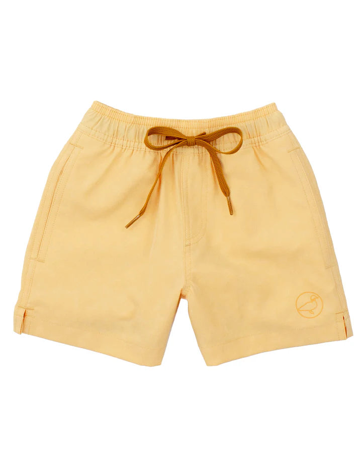 Boys Splash Swim Trunks: Dogs