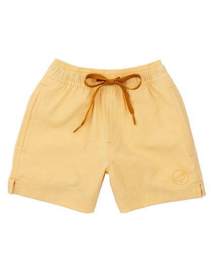 Boys Splash Swim Trunks: Dogs