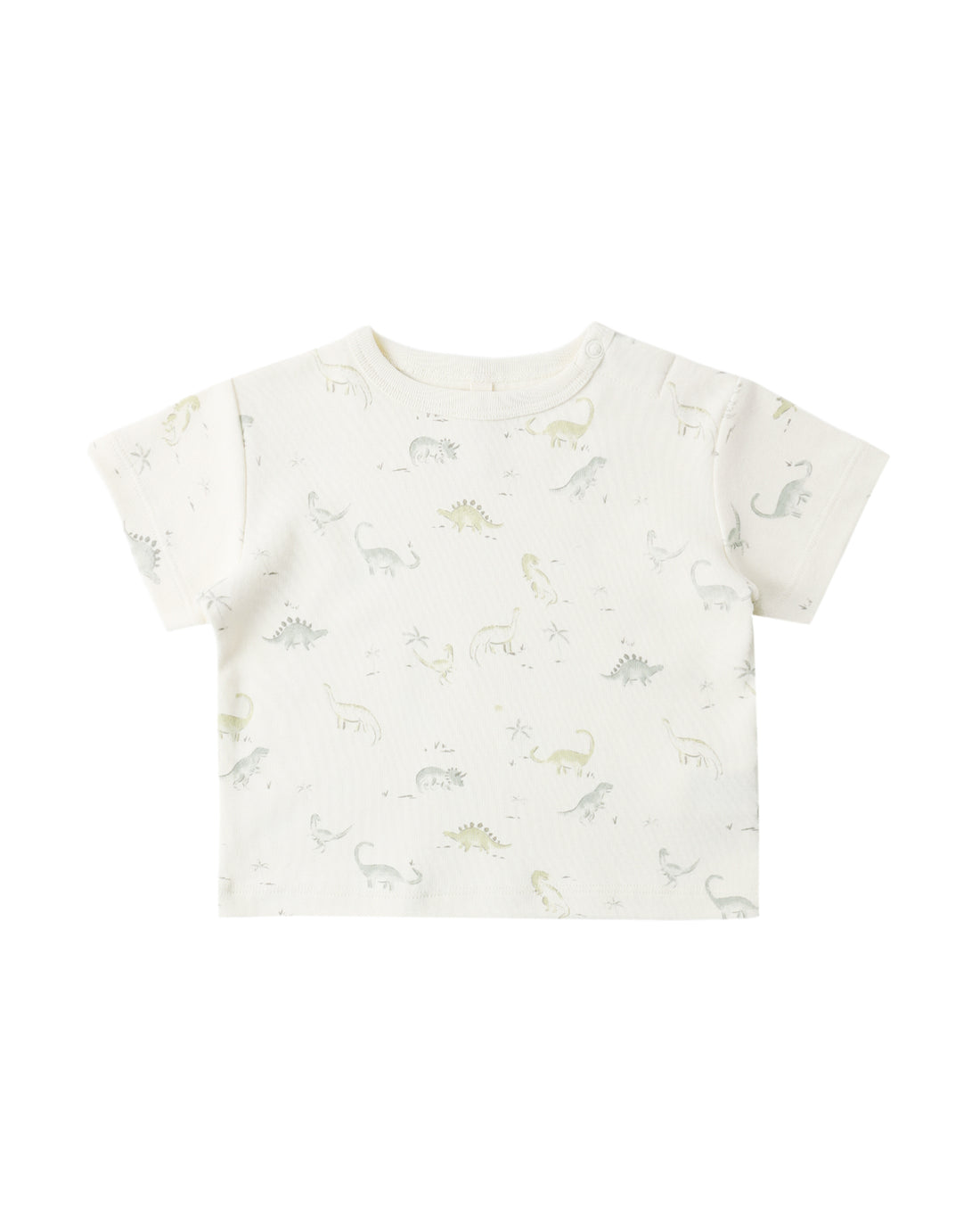 Boxy Tee: Dinosaur