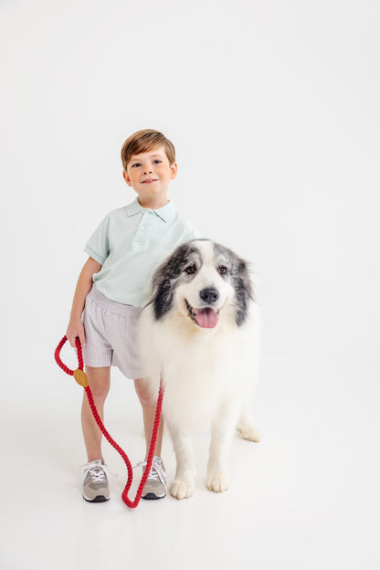 TBBC Sheffied Shorts: Grantley Gray Mini Gingham with Park City Periwinkle Stork