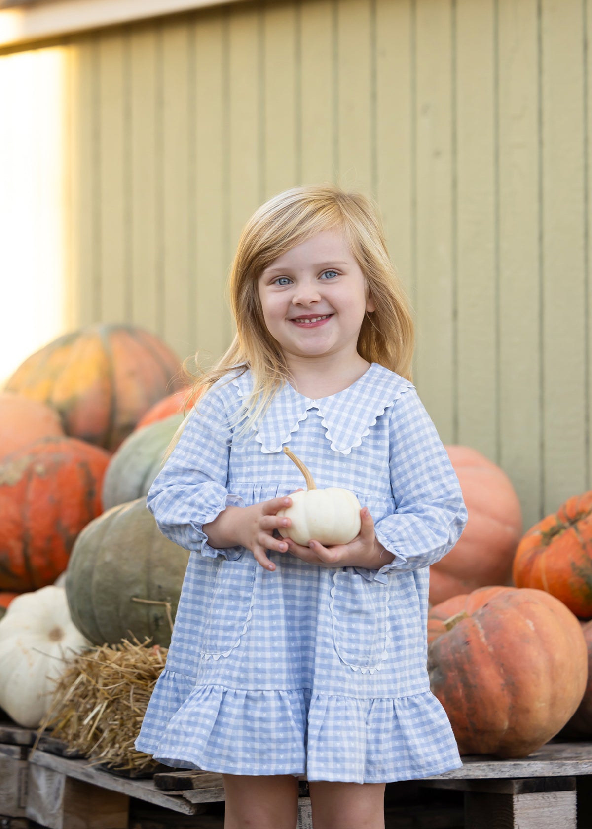 Ella Rae Dress: Light Blue Gingham