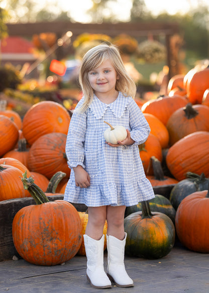 Ella Rae Dress: Light Blue Gingham